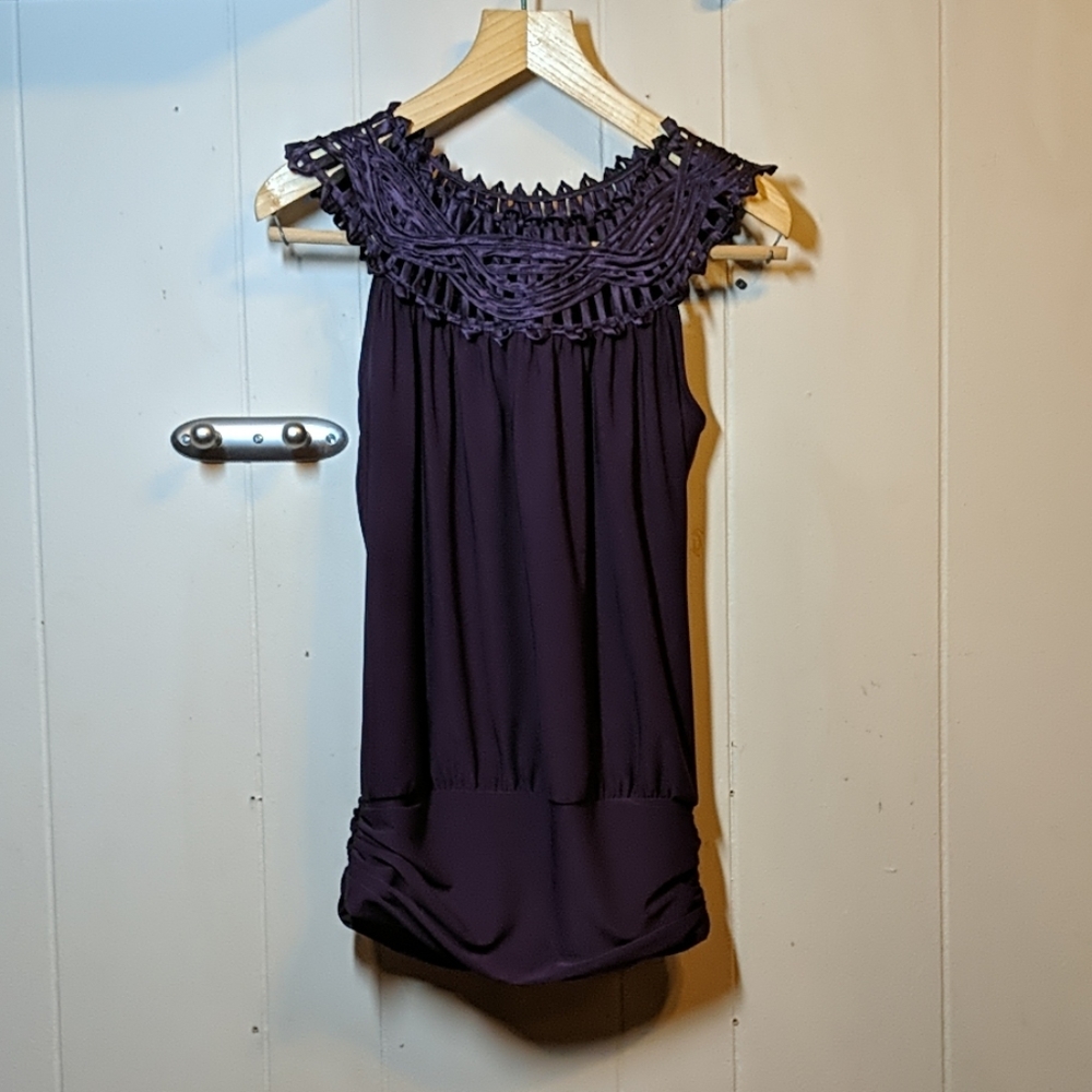Perception Concept plum dressy top